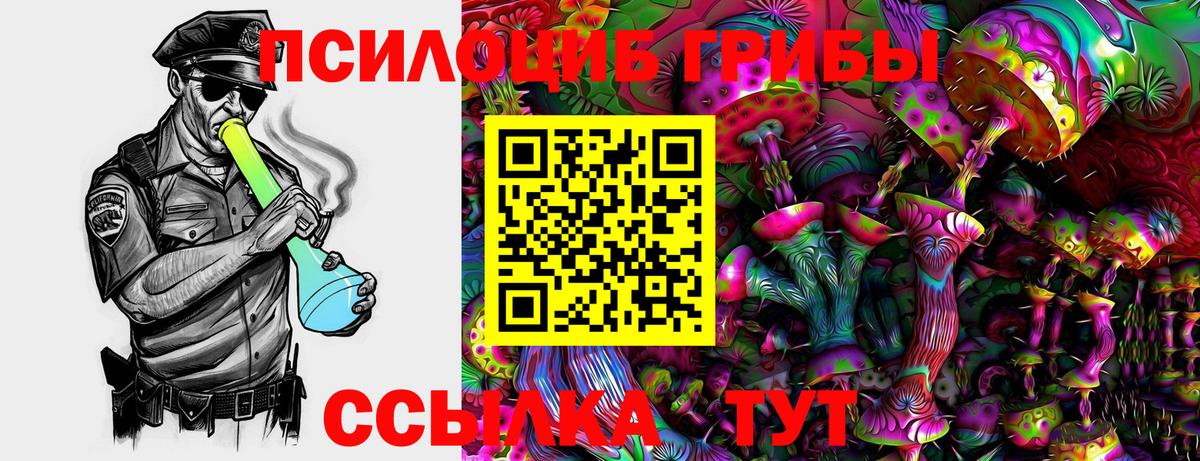 Мыски  Псилоцибиновые грибы прущие грибы  Вход с VPN  Псилоцибиновые грибы MAGIC MUSHROOMS 