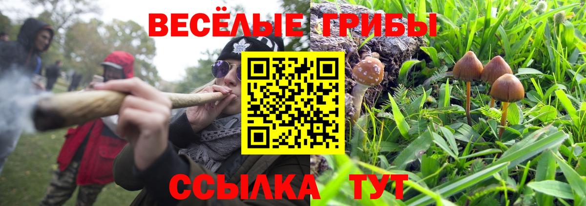 Галлюциногенные грибы ЛСД Мыски